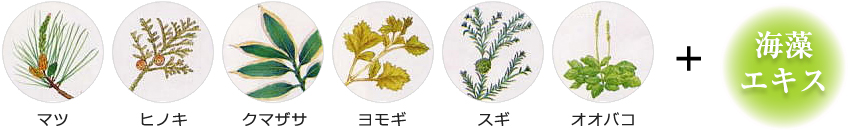 ファイングリーン植物活性液のイメージ